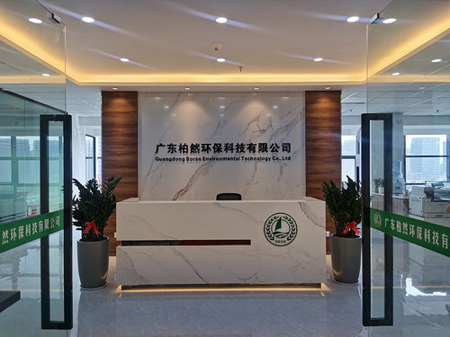 專業(yè)高效，助您輕松過關(guān)——佛山環(huán)評代辦專家，為企業(yè)發(fā)展保駕護航